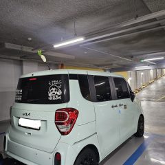 운전대 손떨기 극복