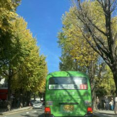 가을날 운전 완전 무서워요