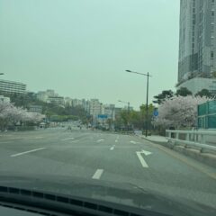 고속도로 진짜 무서워요 후기 이미지