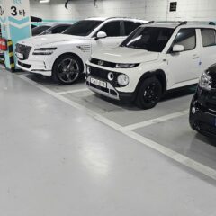 좌회전에 떨리는 심장 후기 이미지