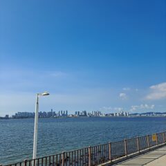 협소 주차 고민 후기 이미지